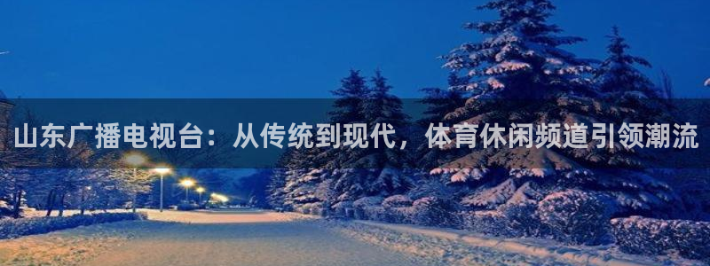 纵横金古武侠世界