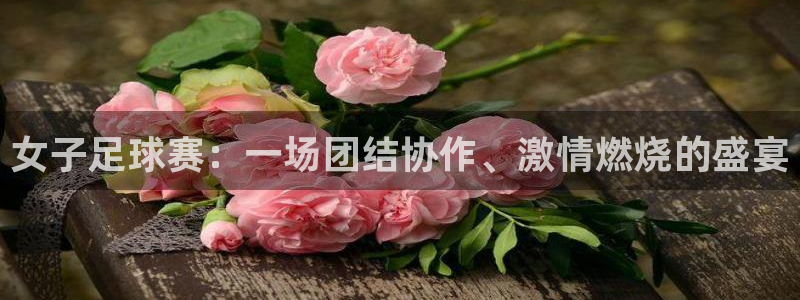 纵横中国