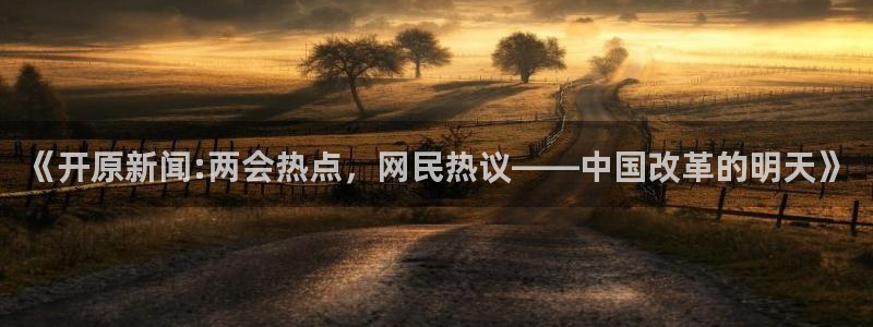 纵横文学app