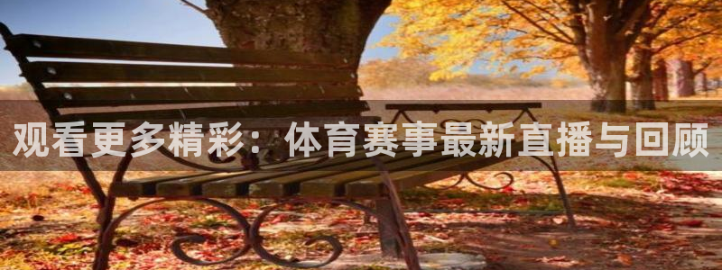纵横中文网官网入口