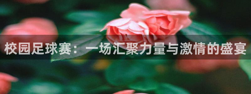 纵横国际注册 纵横国际游戏下载