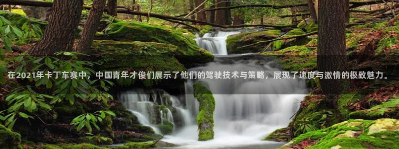 纵横原始世界