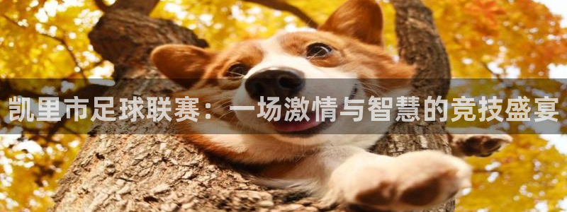 纵横国际登录入口在哪