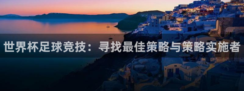 纵横国际下载网址入口