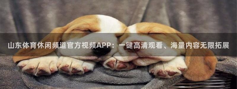 穿越者纵横动漫世界txt下载