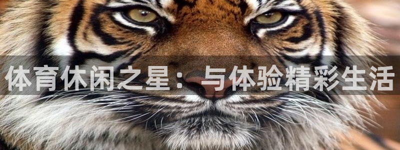 纵横短剧app下载官网
