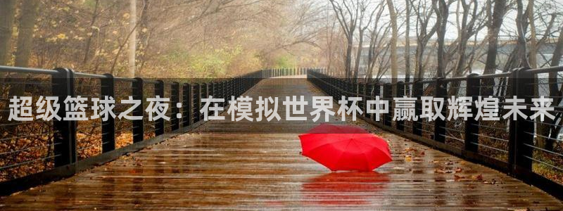 纵横国际手机端app