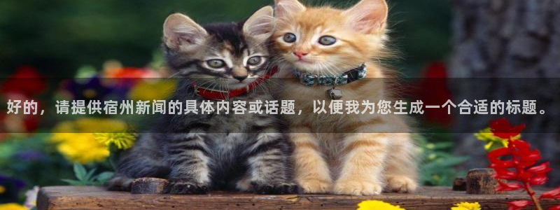 纵横全球