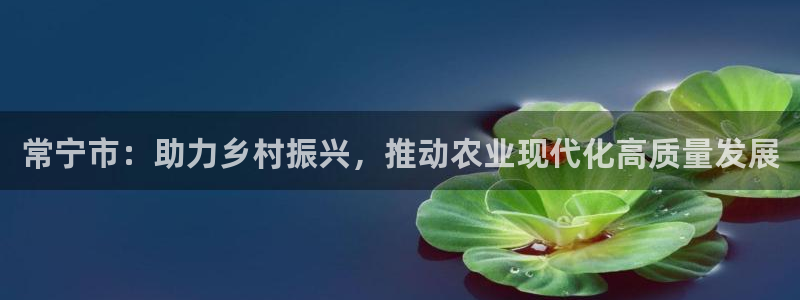 世界纵横