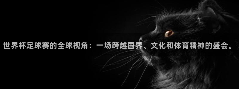 纵横中文网官网入口