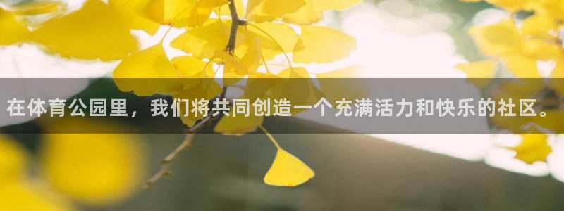 纵横国际p g
