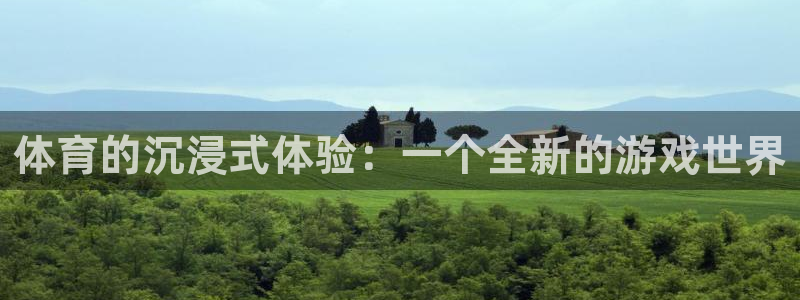纵横国际下载链接