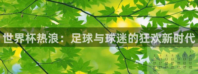 中国宇通纵横中国