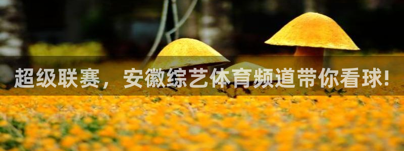 遂宁纵横国际农贸城商铺