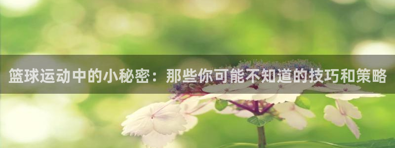 巨量纵横登录入口官网