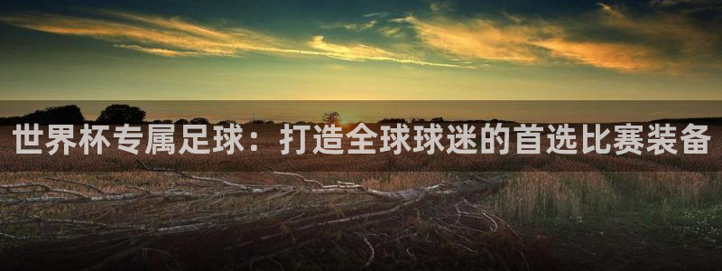 纵横国际app下载入口