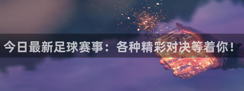 黄山纵横国际旅行社