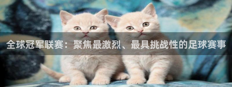 纵横国际贸易