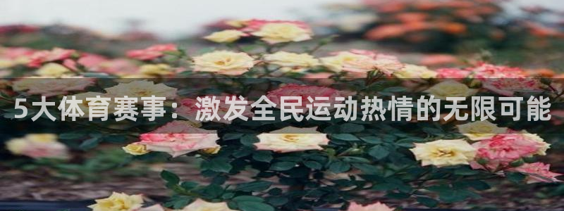 纵横中文网app叫什么