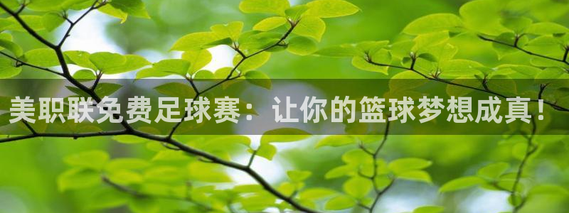 中国宇通纵横中国