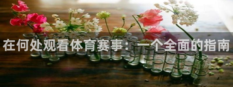 纵横国际app下载入口